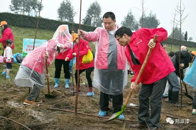【明邦化工】3月12日牽手 “綠城飛花 美哉倫教”植樹節 【明邦化工】3月12日牽手 “綠城飛花 美哉倫教”植樹節